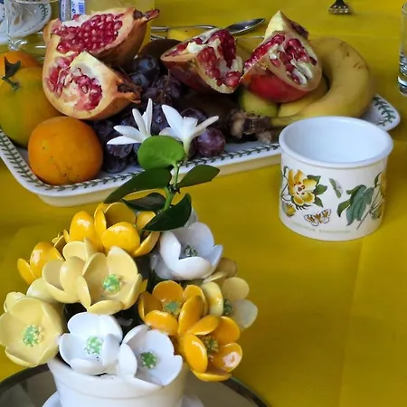 セルムネット マルタ ホームステイ