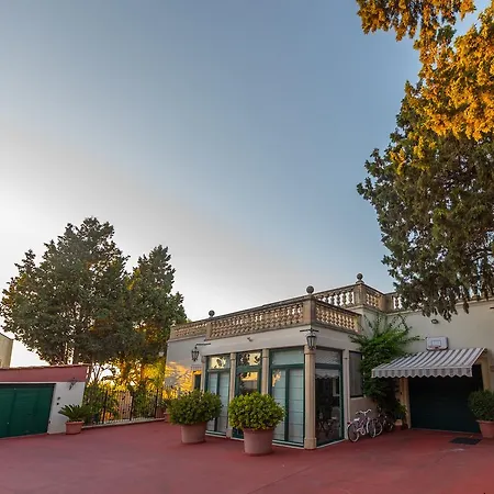 ホームステイ セルムネット マルタ ナッシャー