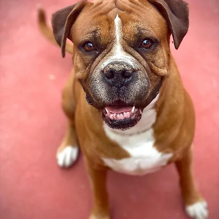 ホームステイ セルムネット マルタ