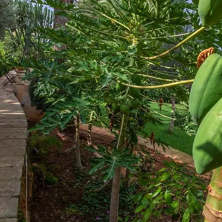 ホームステイ セルムネット マルタ