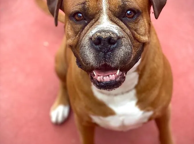 Séjour chez l'habitant Selmunett