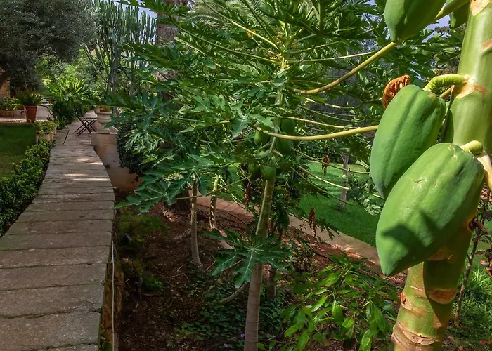 Gazde/Camere de închiriat Selmunett